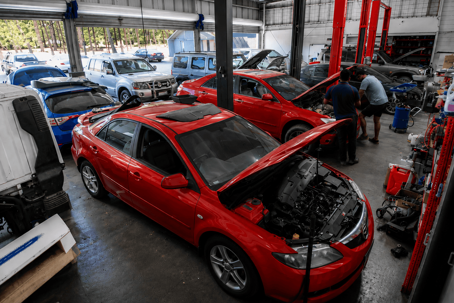 Esther Howard's Toyota Prius · 2019